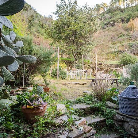 Il Limoneto Dei Cinque Sensi,Apartment With Garden Вернацца Екстер'єр фото