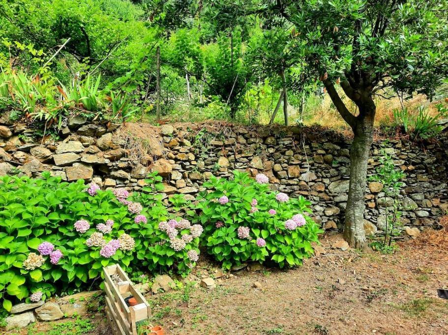 Il Limoneto Dei Cinque Sensi,Apartment With Garden Вернацца Екстер'єр фото