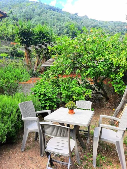 Il Limoneto Dei Cinque Sensi,Apartment With Garden Вернацца Екстер'єр фото
