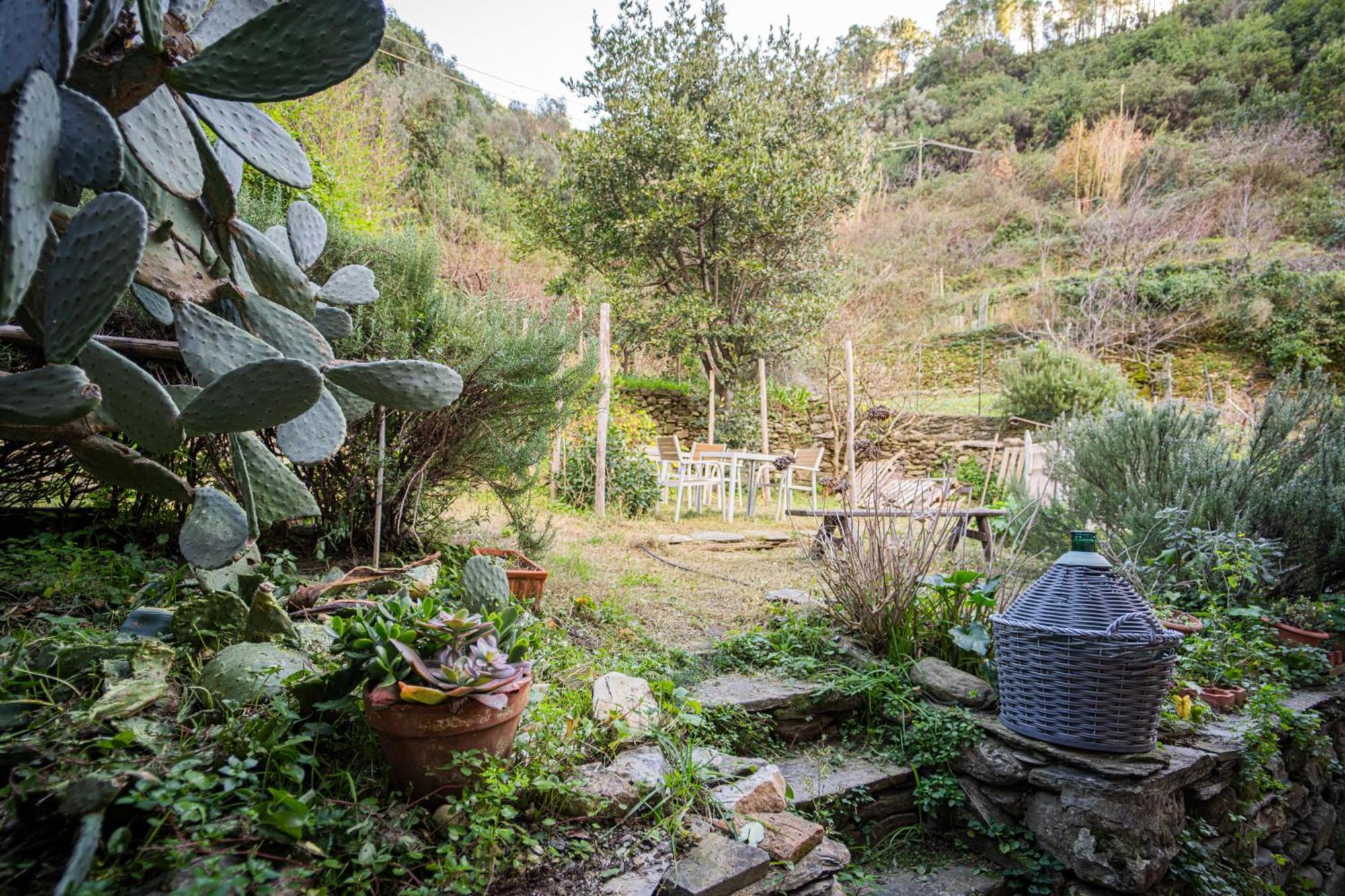 Il Limoneto Dei Cinque Sensi,Apartment With Garden Вернацца Екстер'єр фото