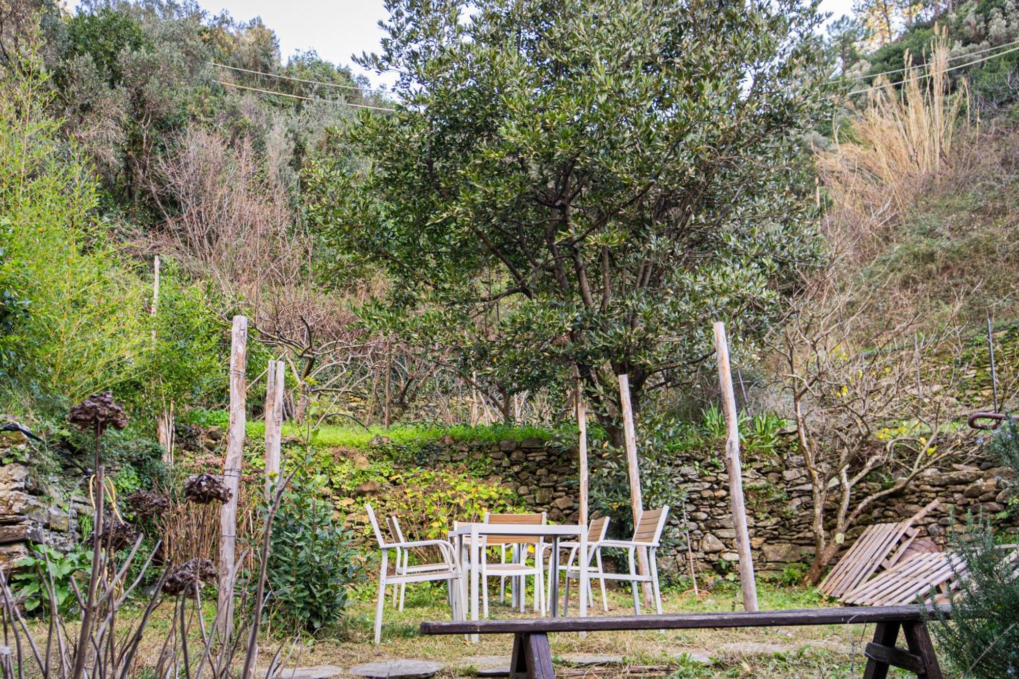 Il Limoneto Dei Cinque Sensi,Apartment With Garden Вернацца Екстер'єр фото